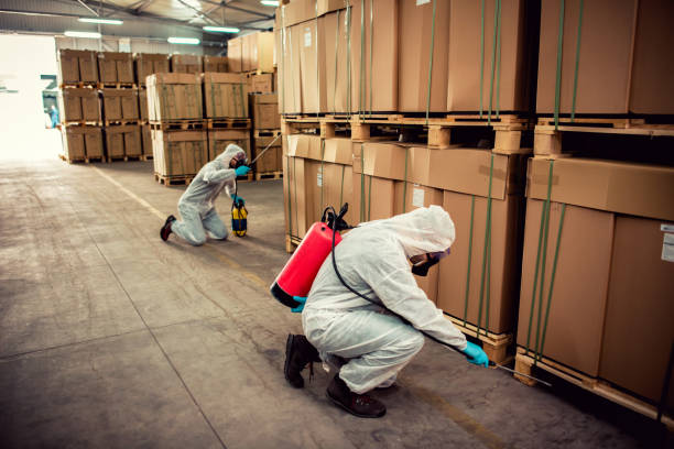 Best Commercial Pest Control Services  in Eleele, HI