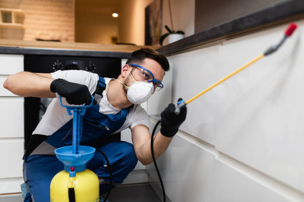 Best Residential Pest Control  in Eleele, HI