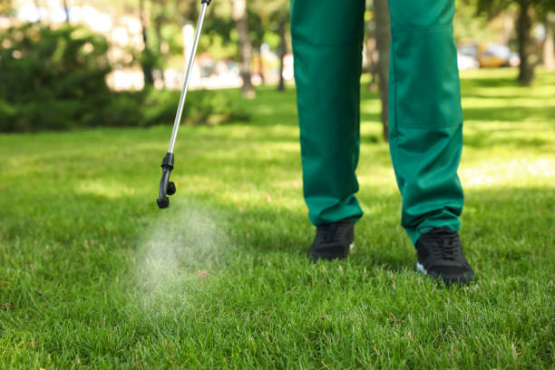 Best Residential Pest Control  in Eleele, HI