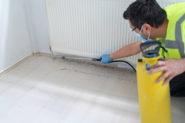 Best Affordable Pest Control Services  in Eleele, HI